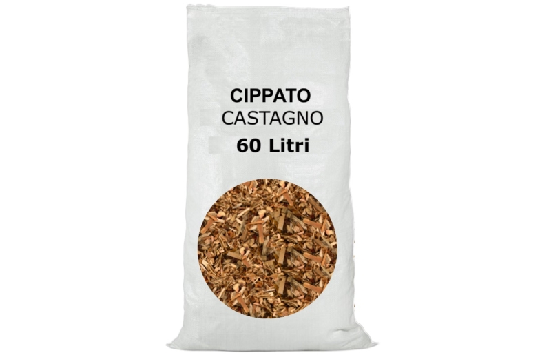 CASTAGNO2.jpg