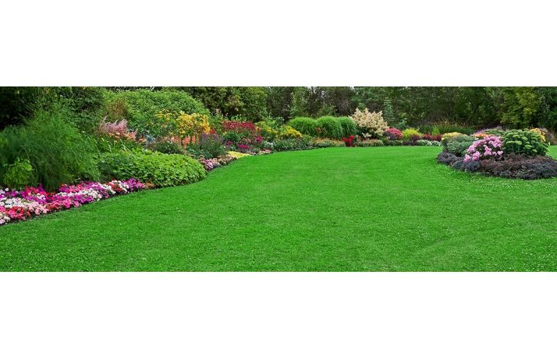1987361iStock000010384726Large-header.jpg