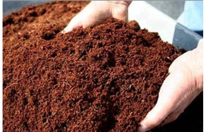 KOTARBAU Terra Di Cocco 2x650g – Substrato In Fibra Di Cocco Senza Torba, 14 Litri Totali, Per Semi E Piante