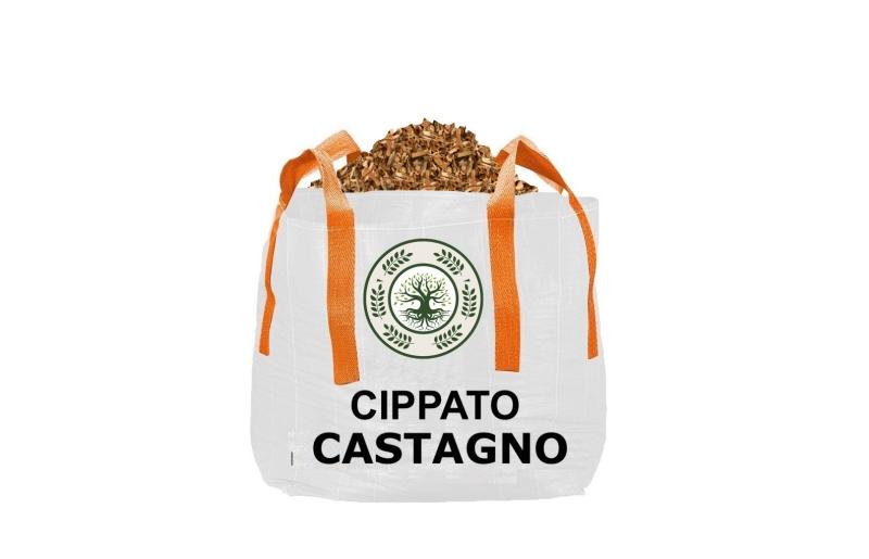 CASTAGNO.png