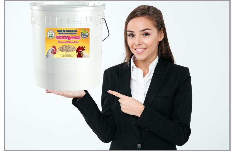 Schermata-2025-02-22-alle-102421.png