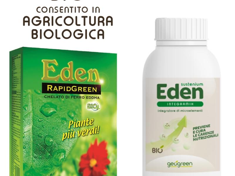 Eden-RapidGreen.jpg